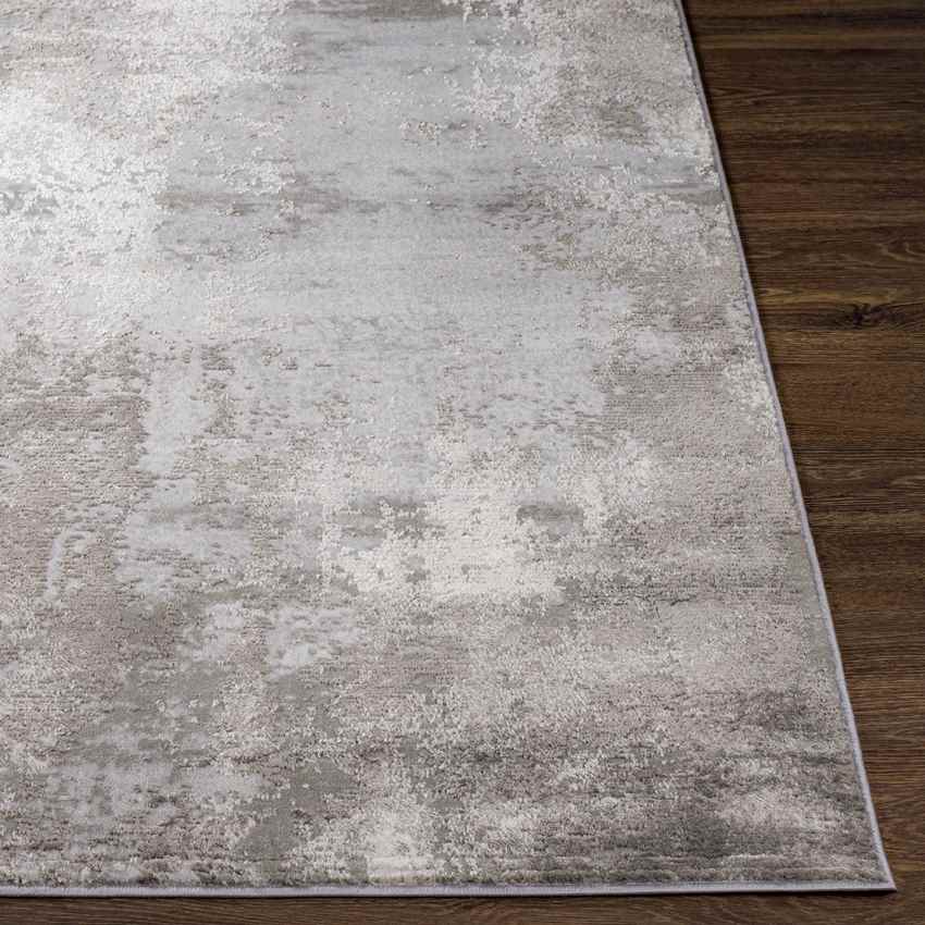 New Windsor Modern Charcoal Area Rug