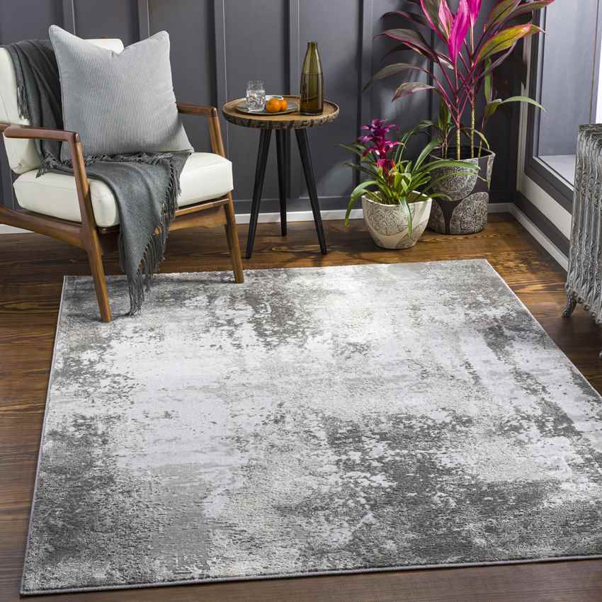 New Windsor Modern Charcoal Area Rug