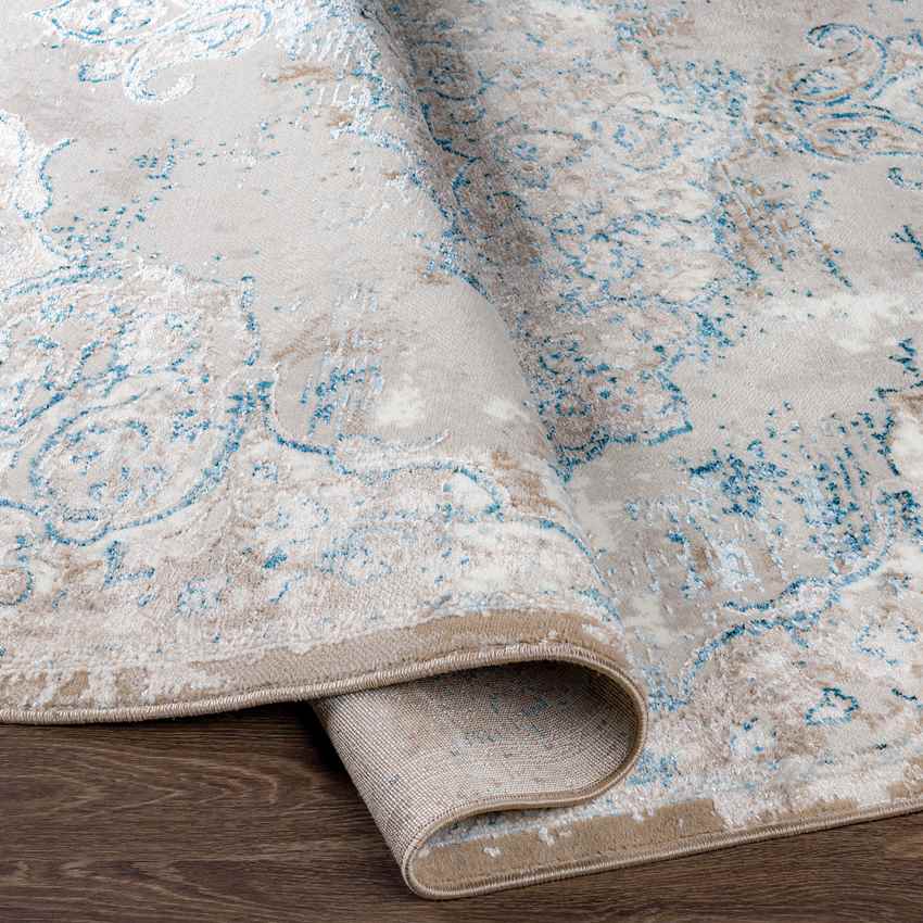 Jerry Traditional Denim Area Rug