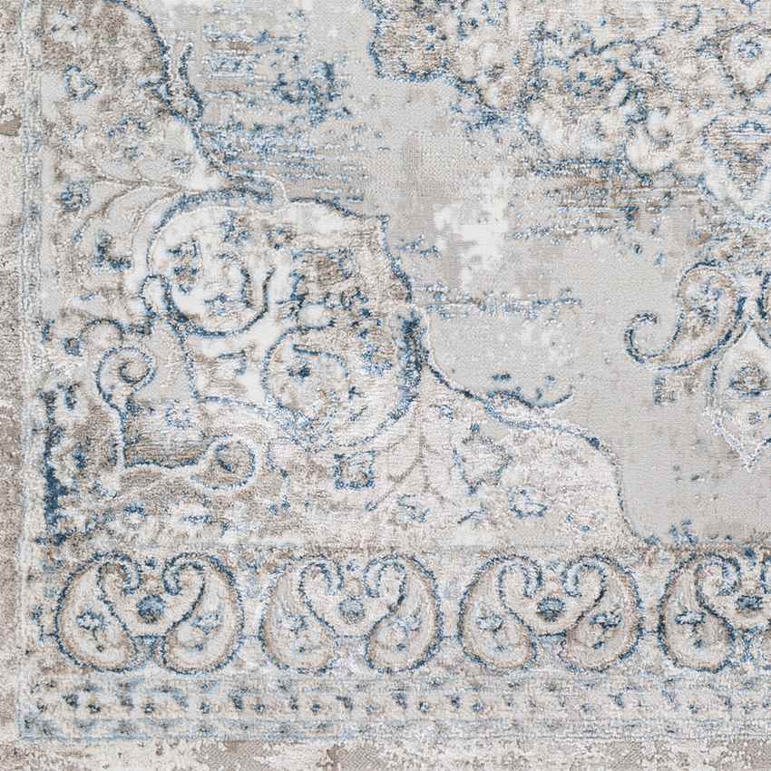 Jerry Traditional Denim Area Rug