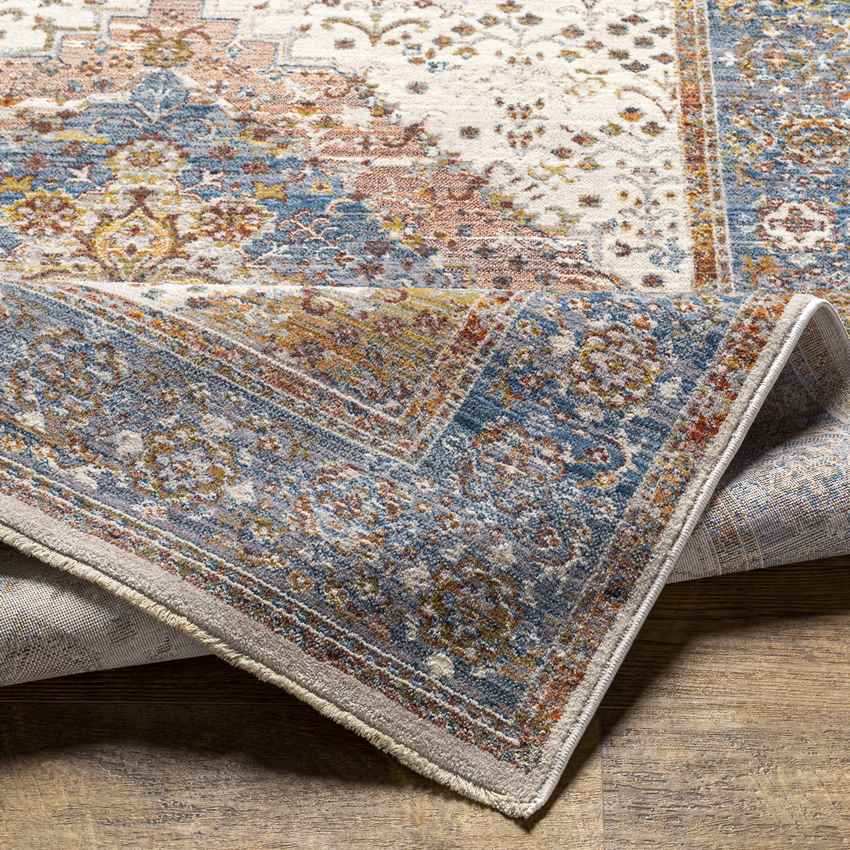 Todd Traditional Burnt Orange Area Rug