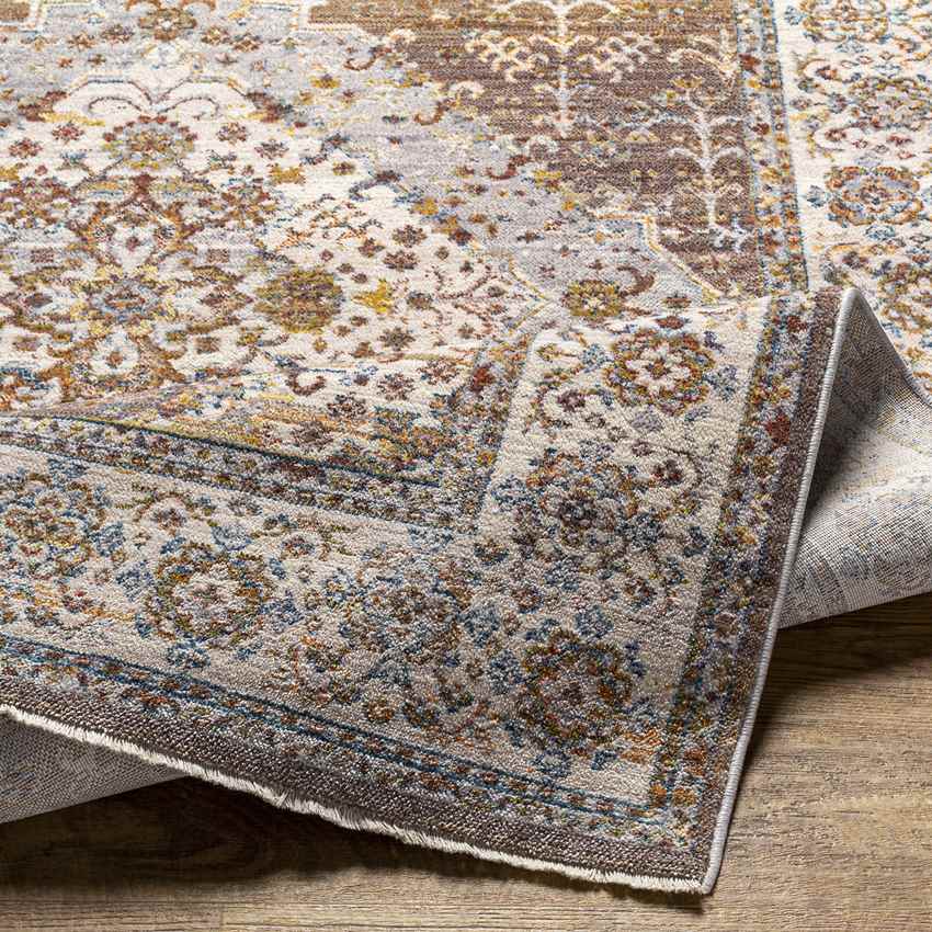 Todd Traditional Taupe Area Rug