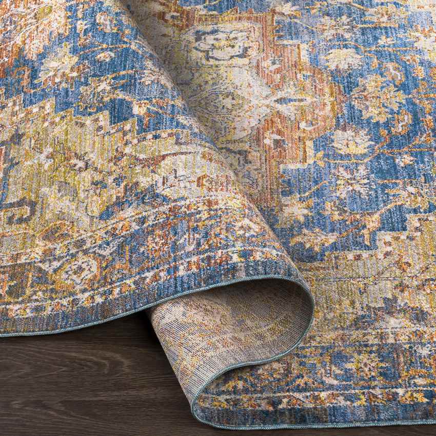 Willow Springs Traditional Saffron Area Rug