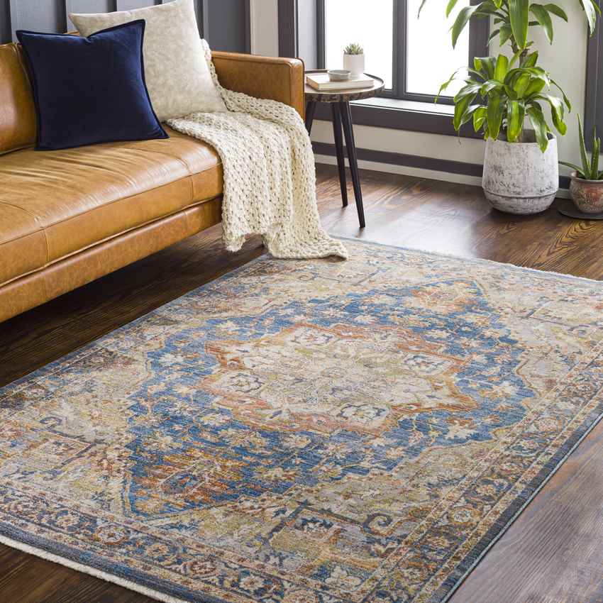 Willow Springs Traditional Saffron Area Rug