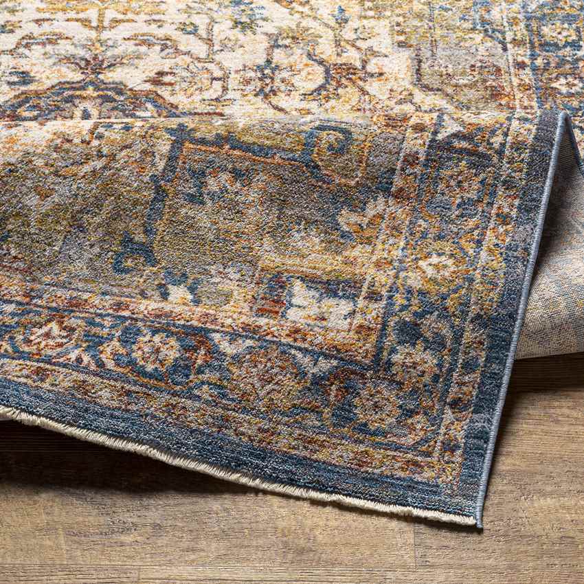 Willow Springs Traditional Burnt Orange Area Rug