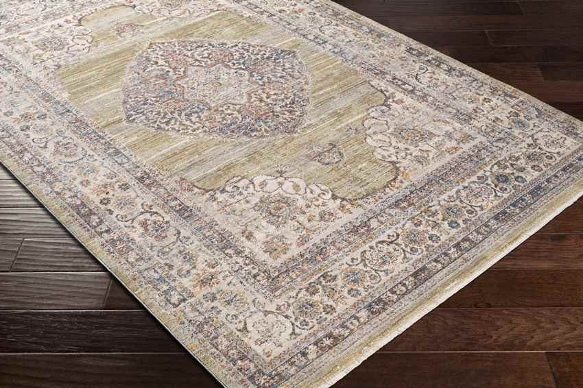 Winthrop Harbor Traditional Olive Area Rug