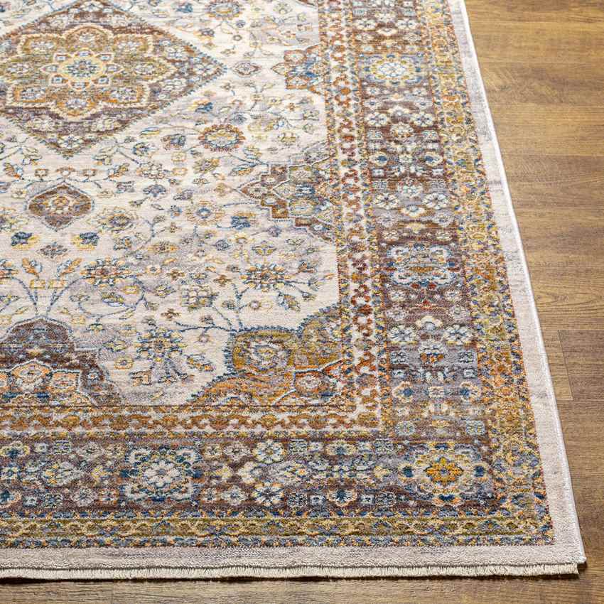 Wonder Lake Traditional Burnt Orange Area Rug