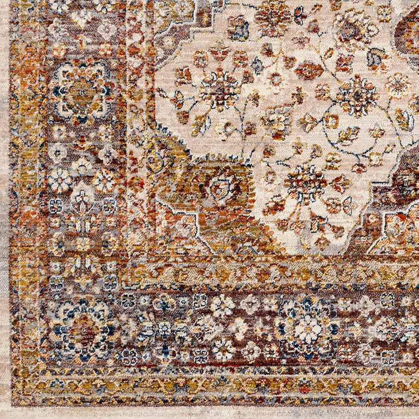 Wonder Lake Traditional Burnt Orange Area Rug