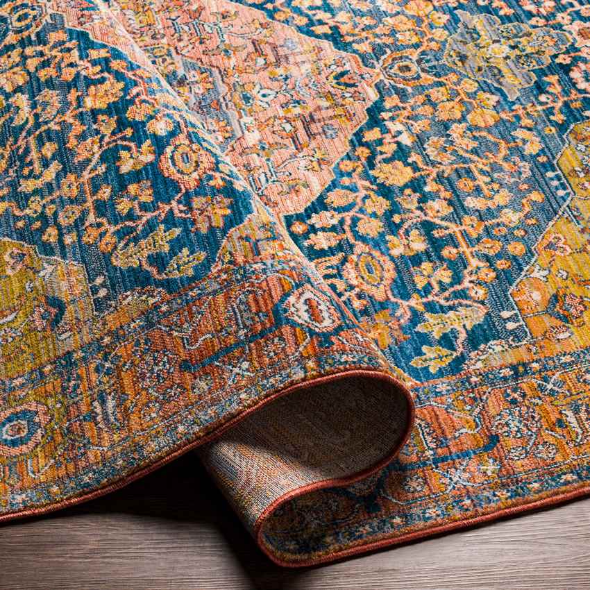 Leavenworth Traditional Burnt Orange Area Rug