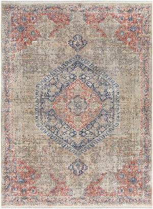 Pittsboro Traditional Taupe Area Rug