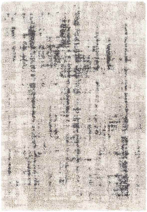 La Grange Park Modern Beige Area Rug