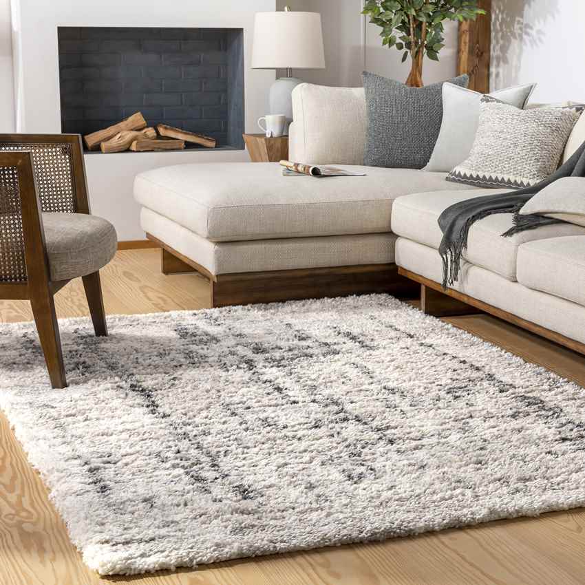 La Grange Park Modern Beige Area Rug
