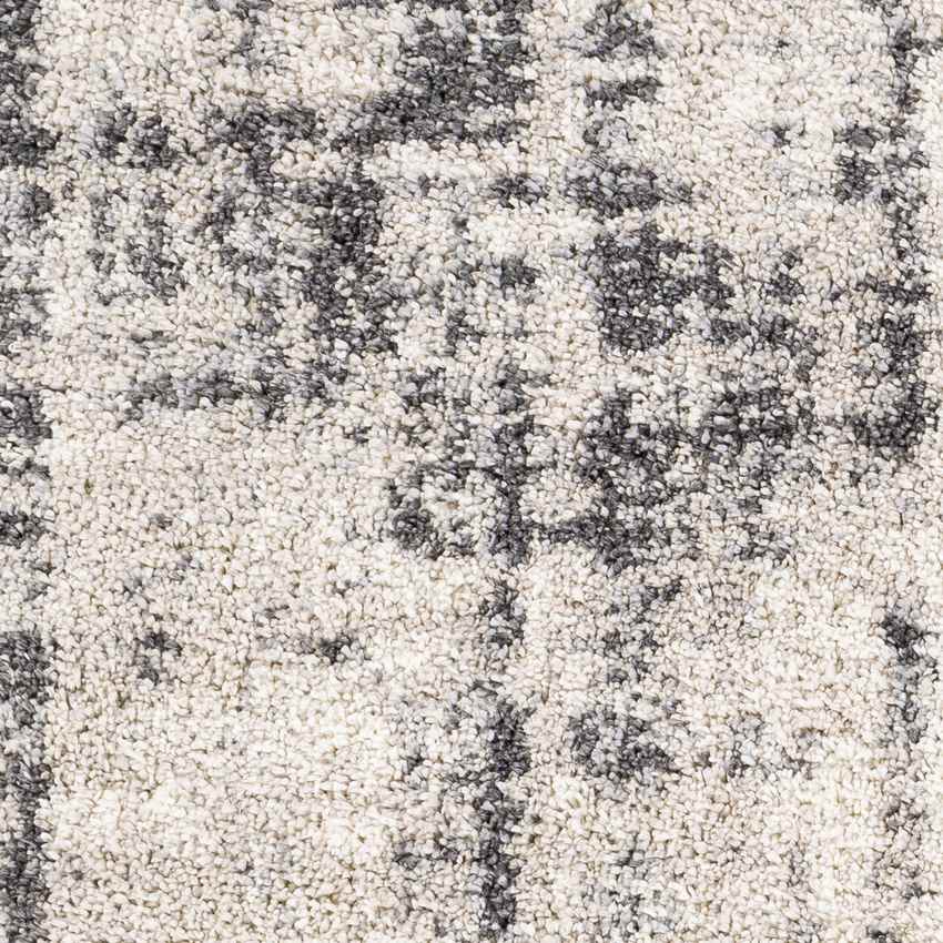 La Grange Park Modern Beige Area Rug