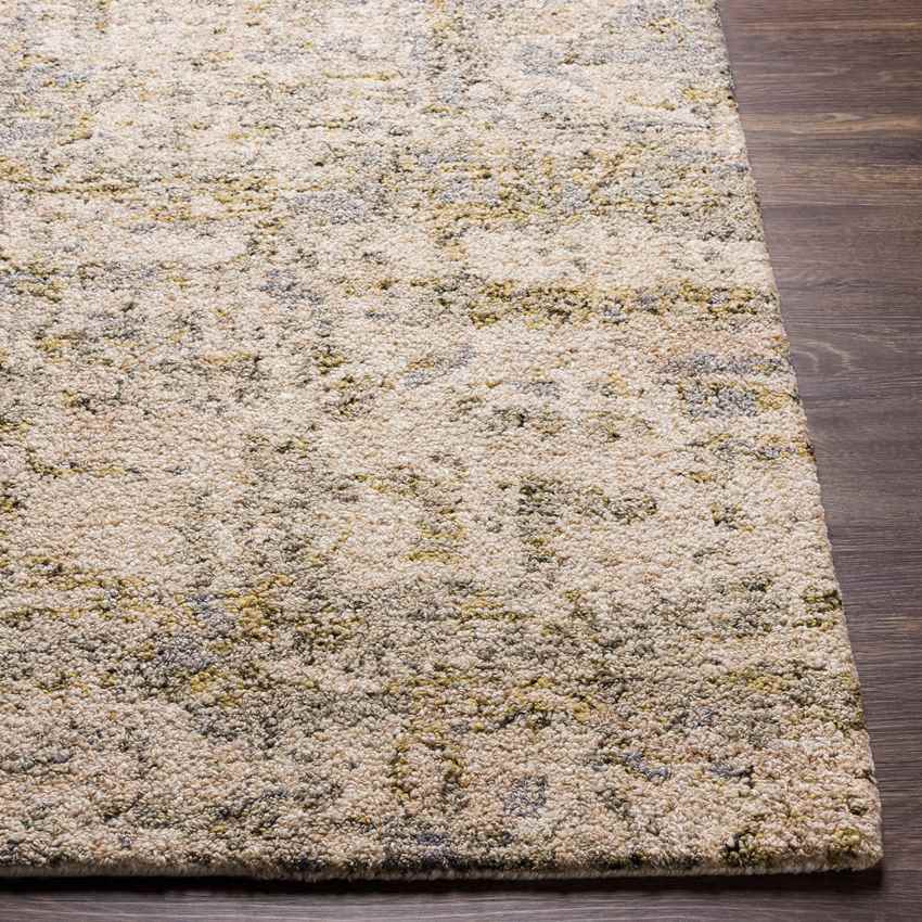 Brazil Modern Tan Area Rug