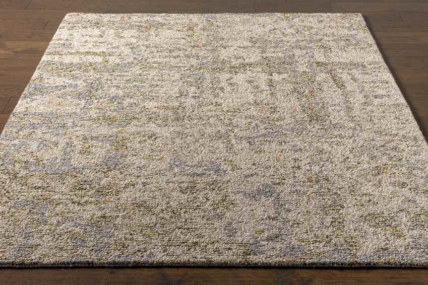Brazil Modern Tan Area Rug