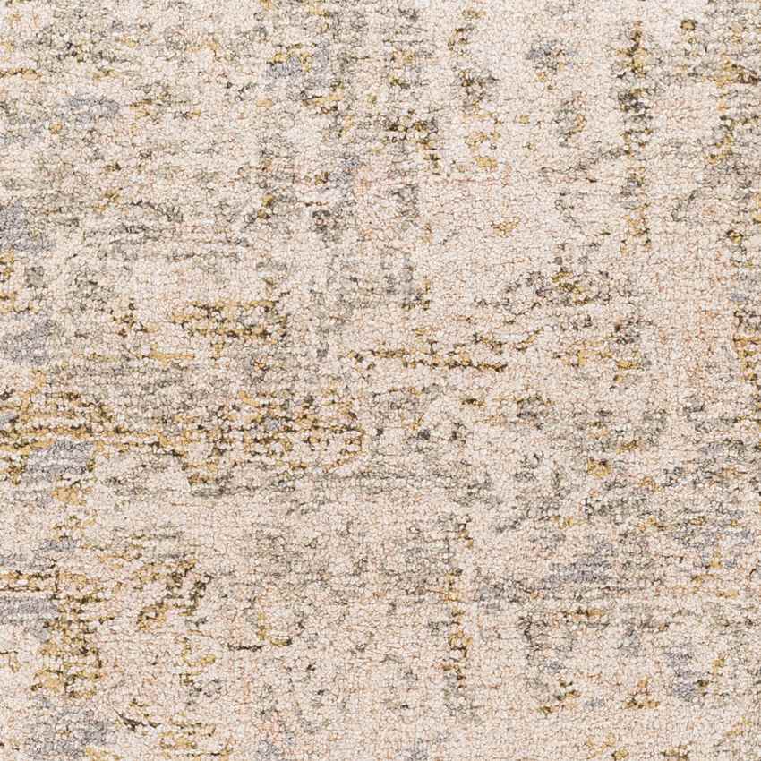 Brazil Modern Tan Area Rug