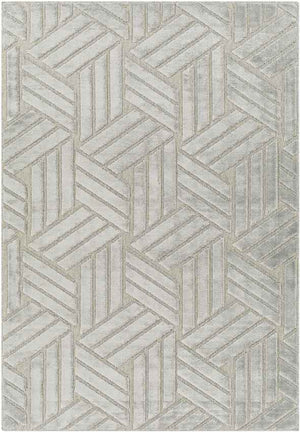 Kingsford Heights Modern Medium Gray Area Rug