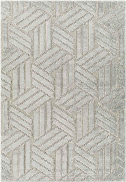 Kingsford Heights Modern Medium Gray Area Rug