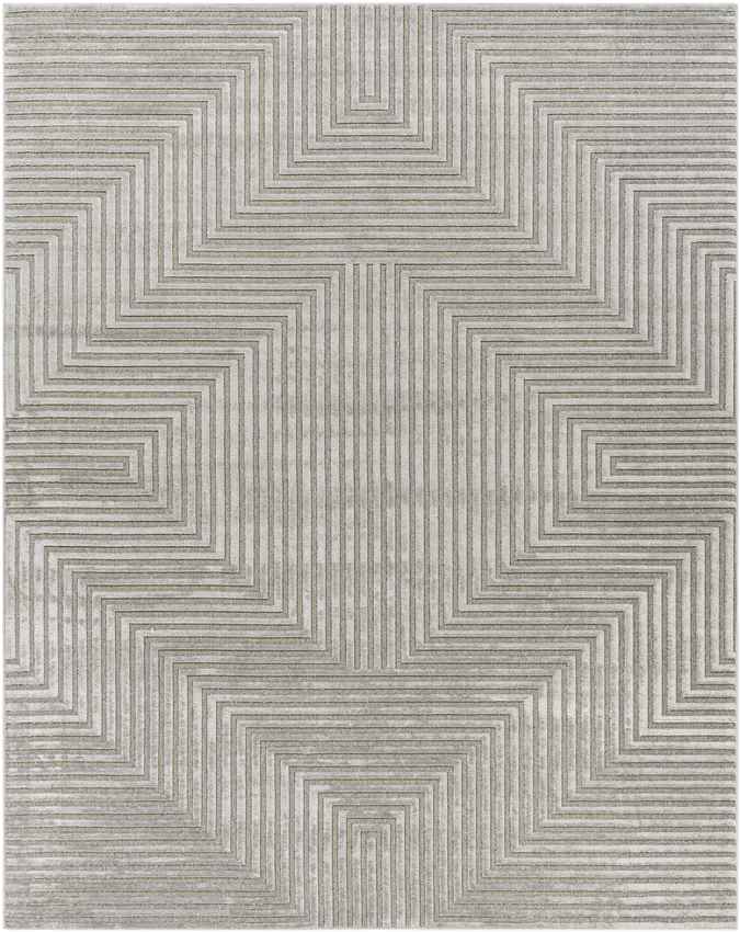 Knightsville Modern Medium Gray Area Rug