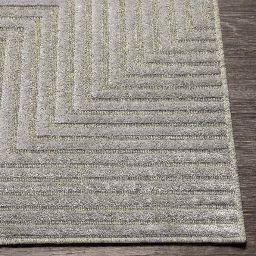 Knightsville Modern Medium Gray Area Rug