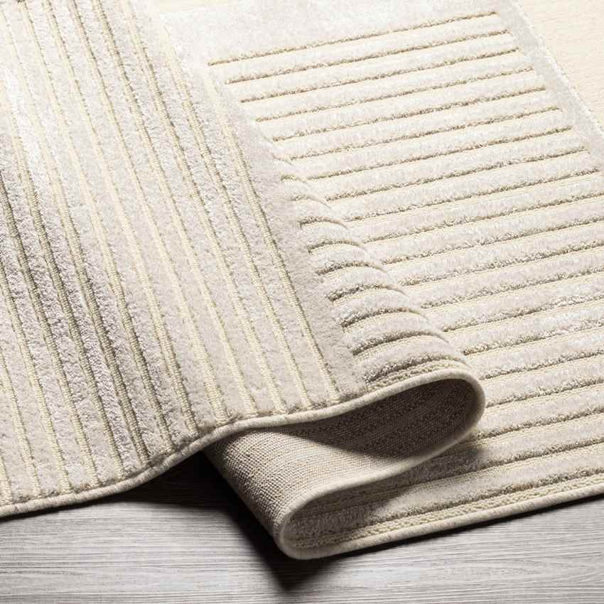 Kouts Modern Beige Area Rug