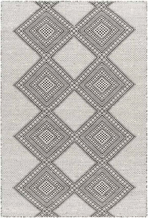 Spring Bay Global Dark Gray Area Rug