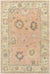 New Albany Traditional Peach Area Rug