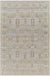 Indian Village Traditional Taupe Area Rug