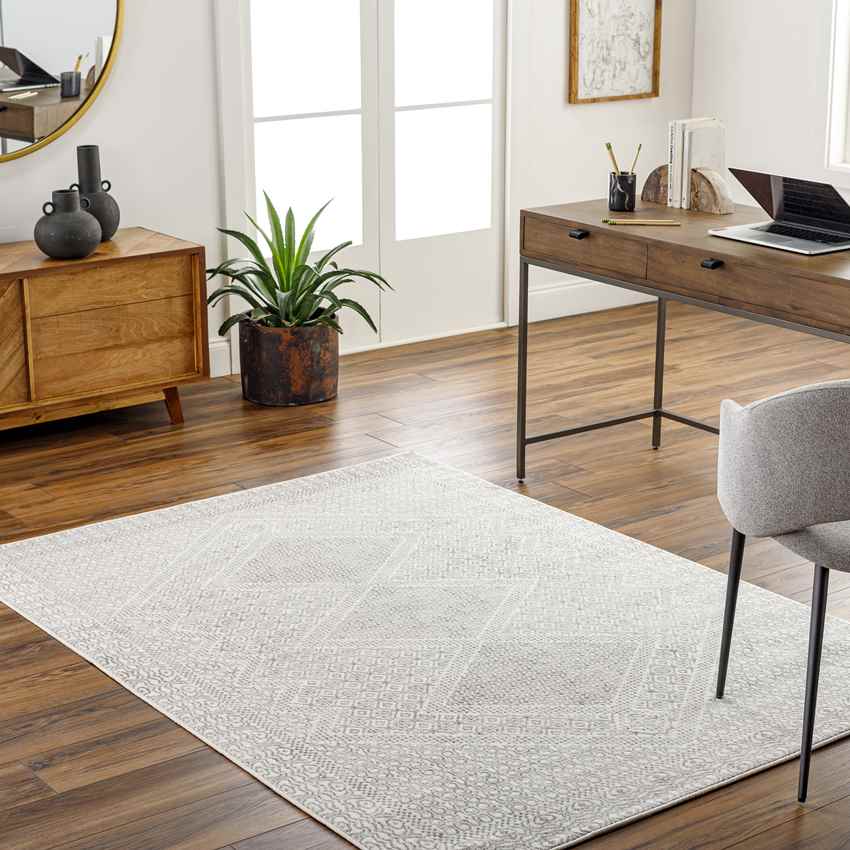 Williams Creek Global Light Gray Area Rug