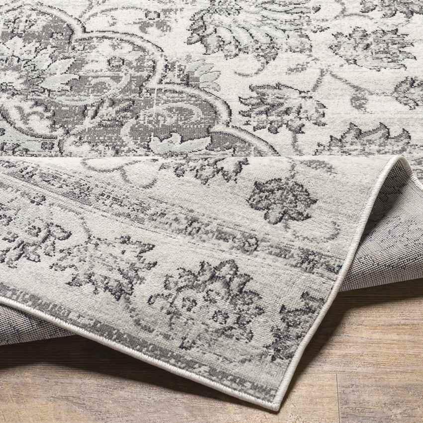 Beverly Shores Traditional Gray Area Rug