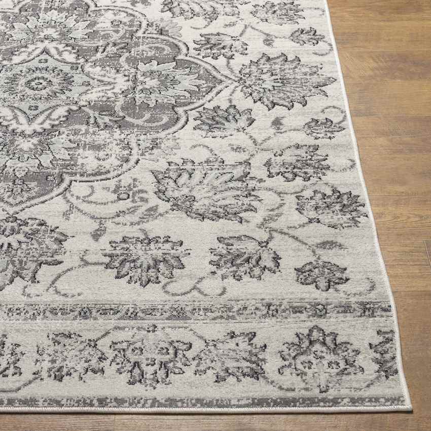 Beverly Shores Traditional Gray Area Rug