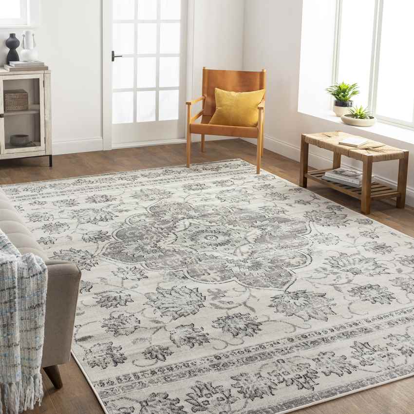 Beverly Shores Traditional Gray Area Rug