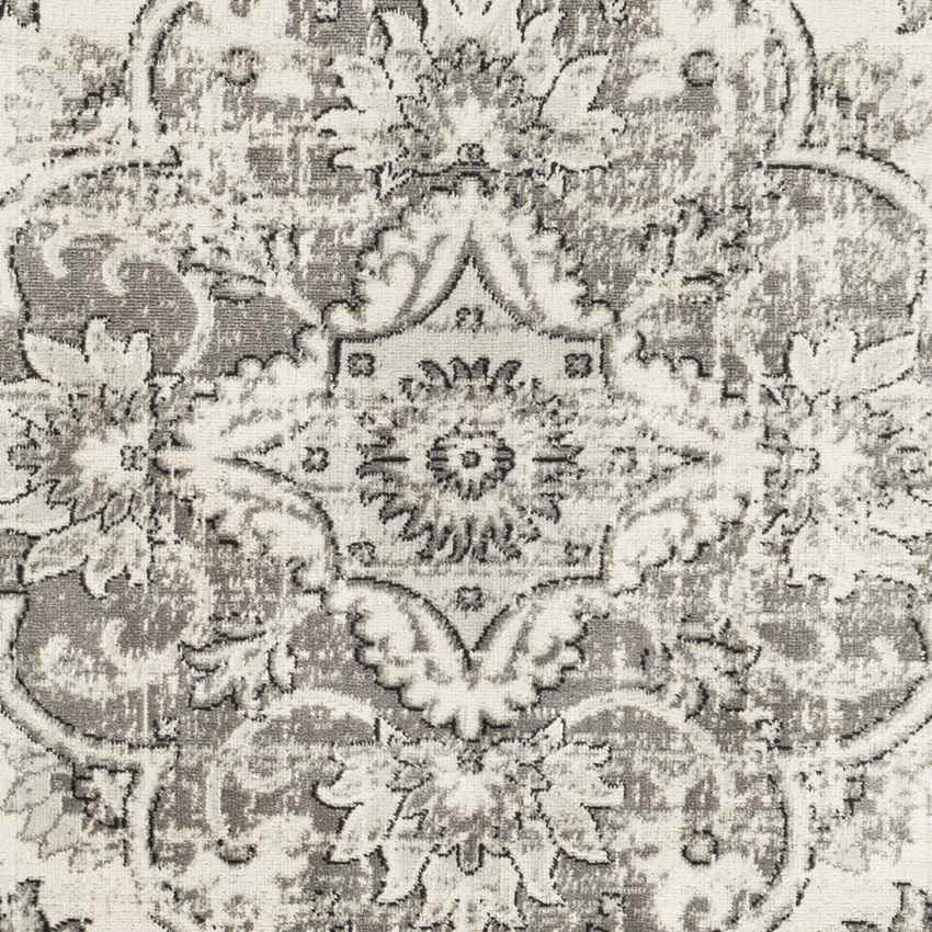 Beverly Shores Traditional Gray Area Rug