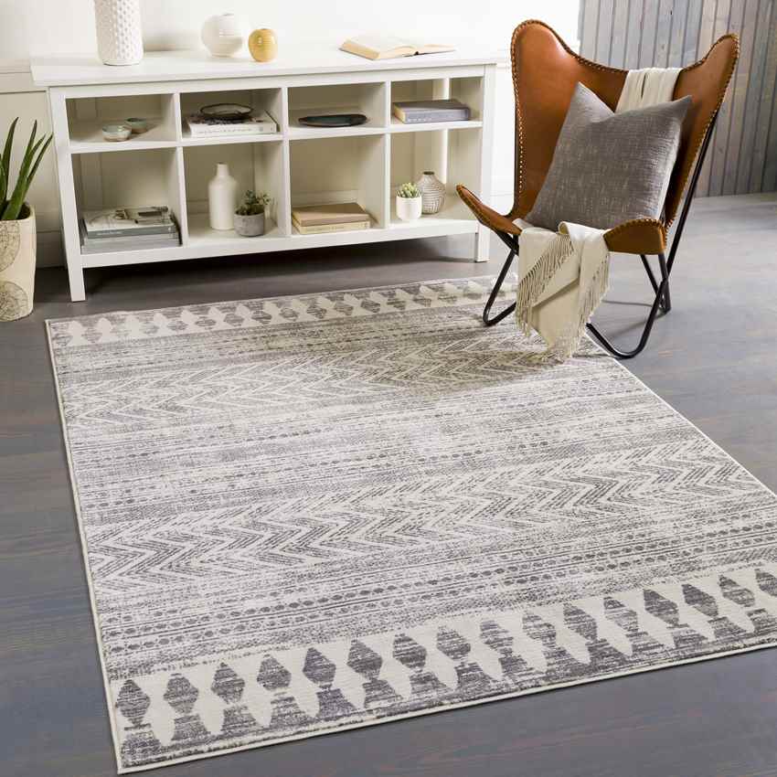 Shepshed Global Medium Gray Area Rug