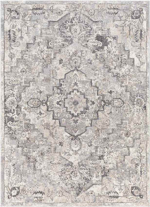 Lily Lake Traditional Beige Area Rug