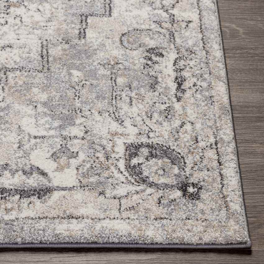 Lily Lake Traditional Beige Area Rug