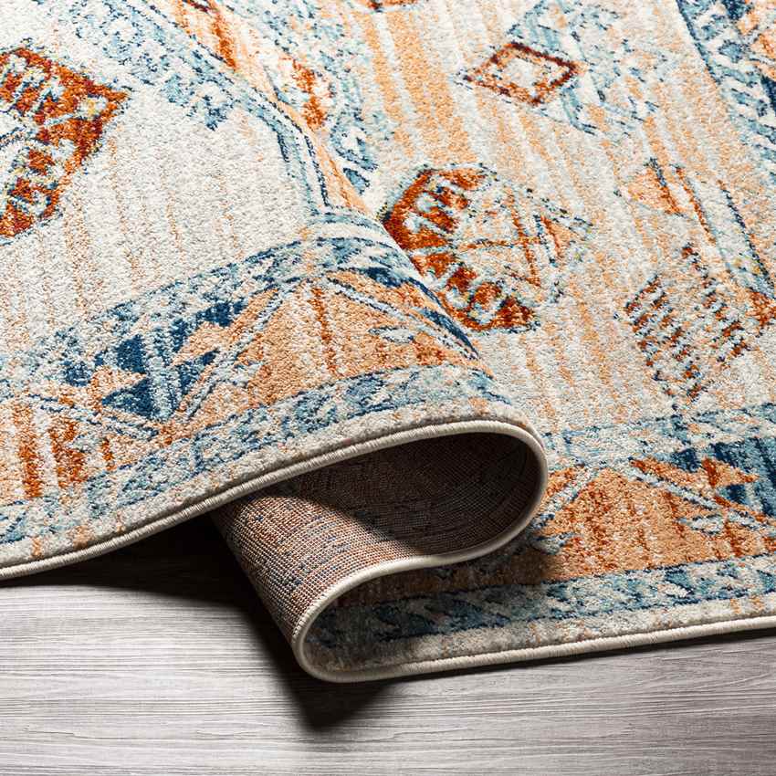 Cayuga Traditional Ivory Area Rug