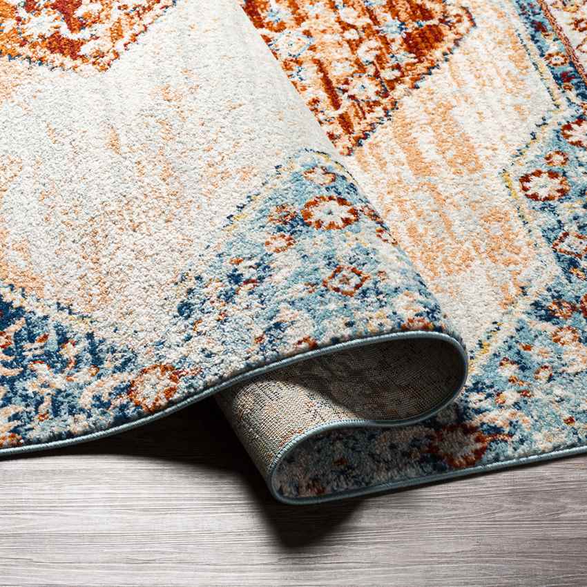 Charlottesville Traditional Burnt Orange Area Rug