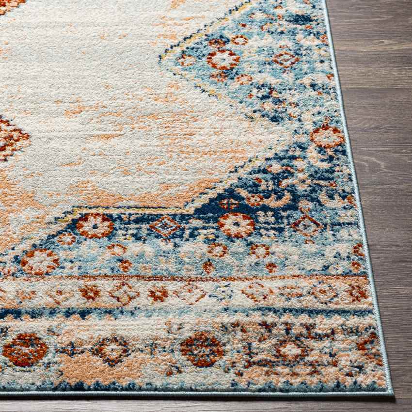 Charlottesville Traditional Burnt Orange Area Rug