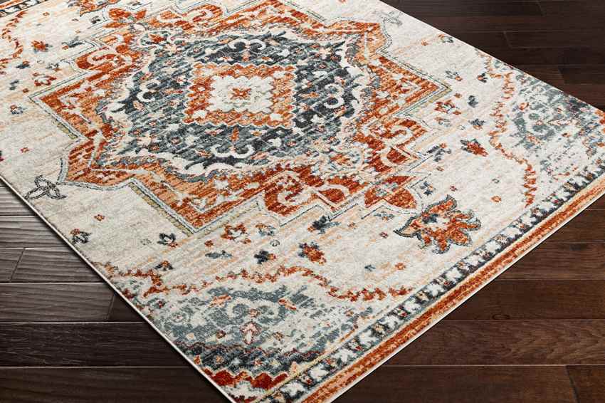 Sam Traditional Burnt Orange Area Rug
