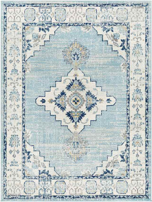 Dunreith Traditional Aqua Area Rug