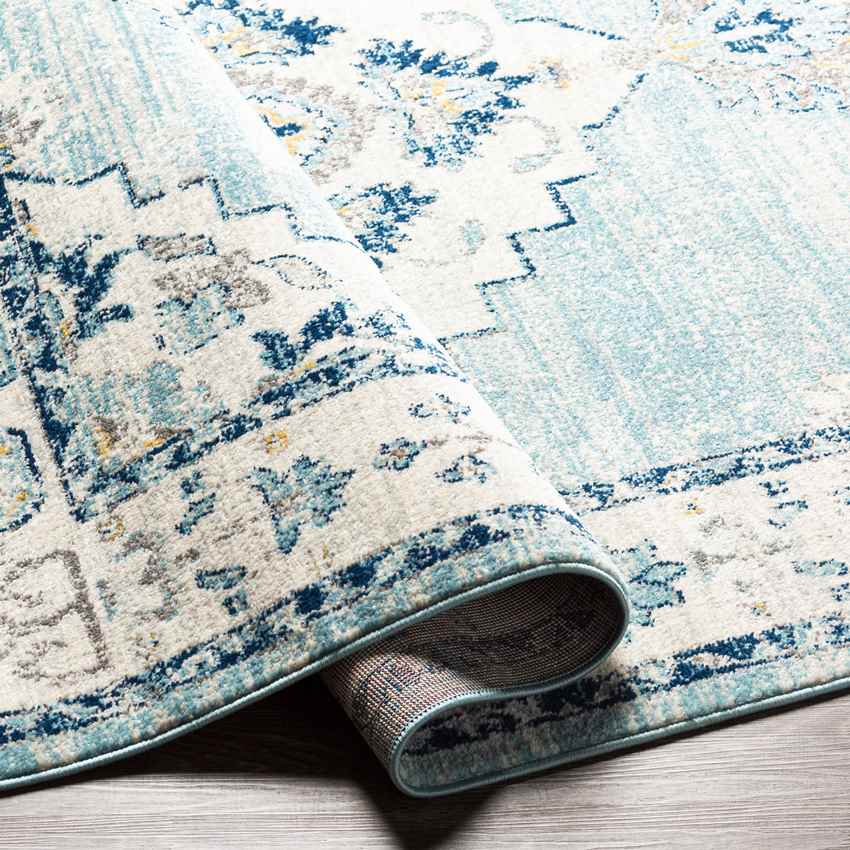 Dunreith Traditional Aqua Area Rug