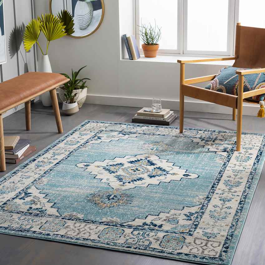 Dunreith Traditional Aqua Area Rug