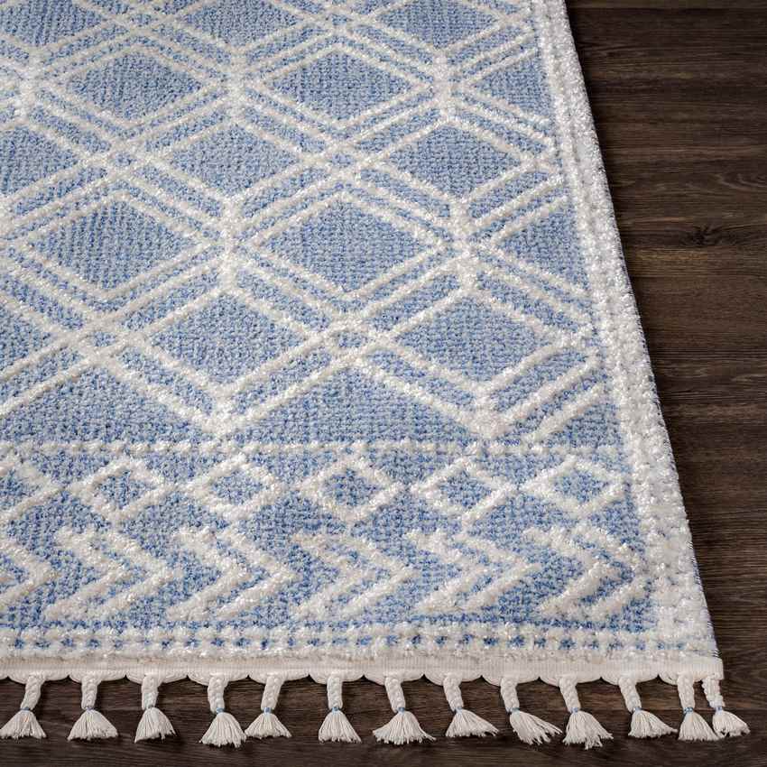 Noblesville Global Denim Area Rug