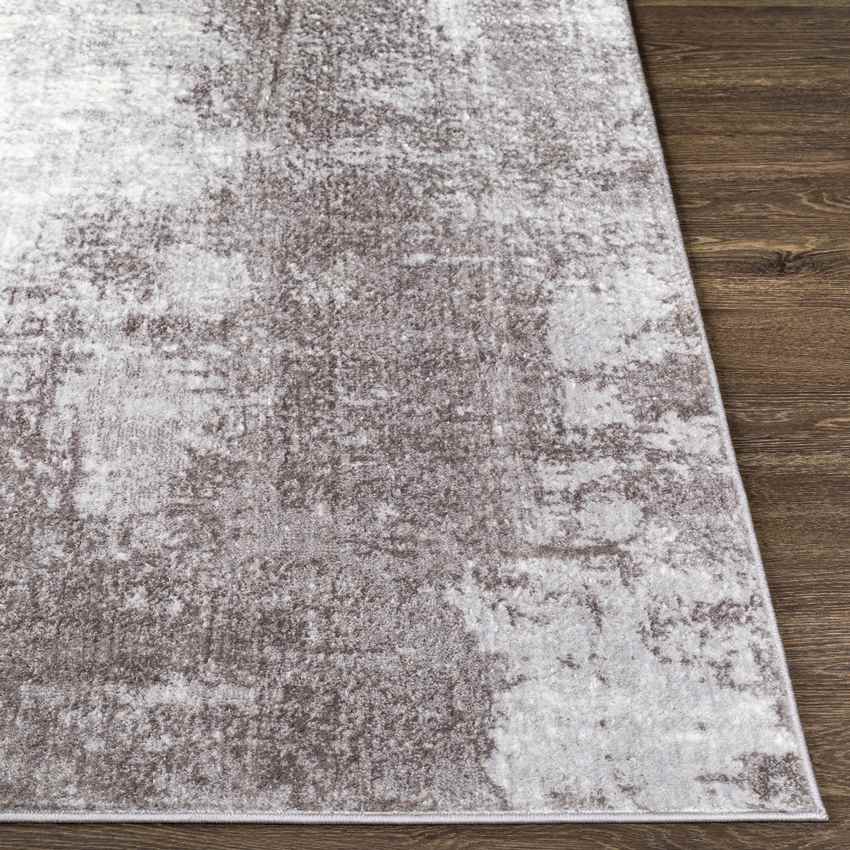 Dole Modern Light Gray Area Rug