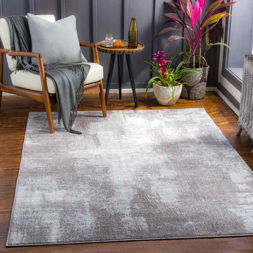 Dole Modern Light Gray Area Rug