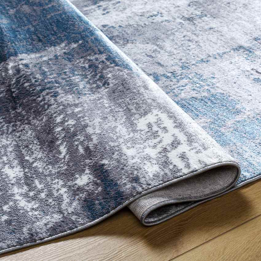 Dole Modern Teal Area Rug