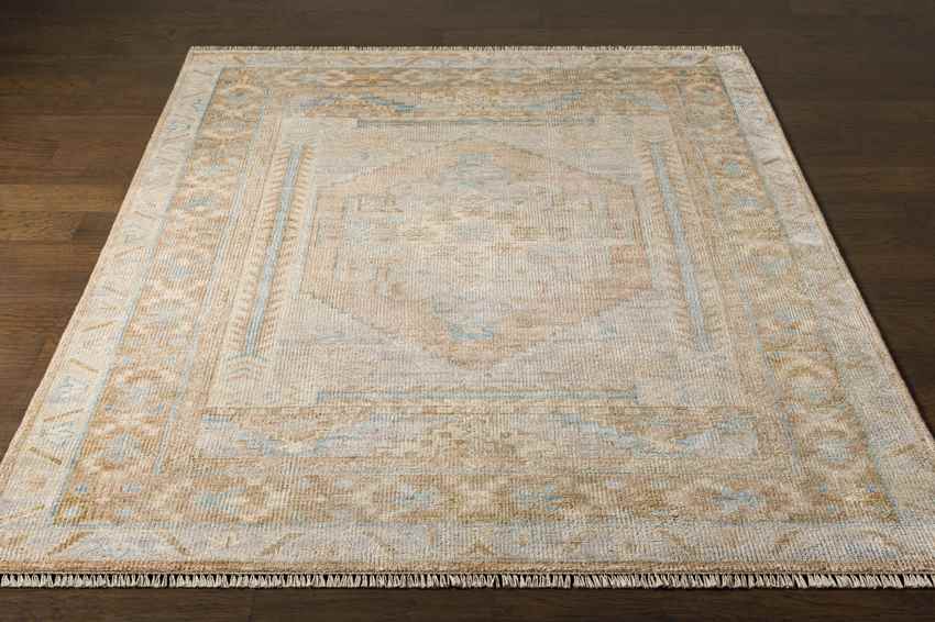 Promise Traditional Beige Area Rug