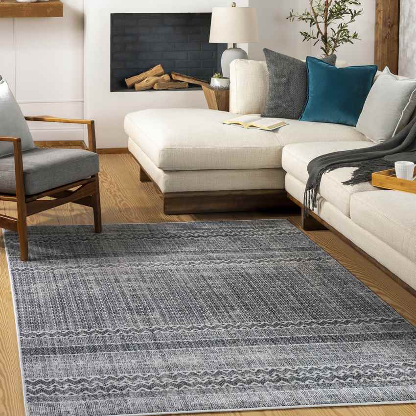 Rake Global Charcoal Area Rug
