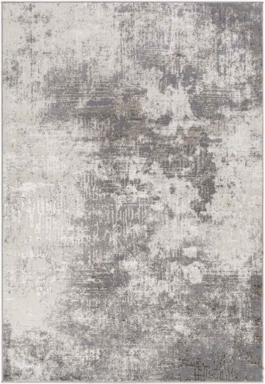 Shambaugh Modern Gray Area Rug